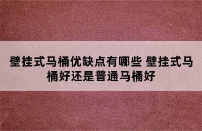 壁挂式马桶优缺点有哪些 壁挂式马桶好还是普通马桶好